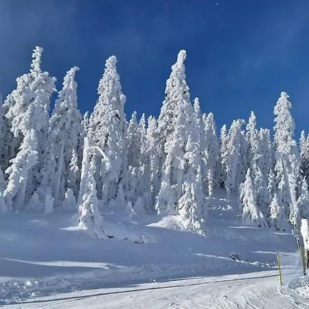 アパート - White Pearl - Biala Perla - Czarna Gora *