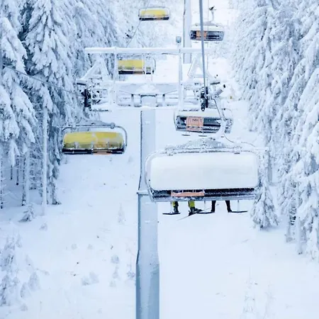 - White Pearl - Biala Perla - Czarna Gora Daire *