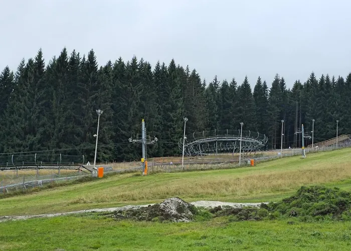 Daire - White Pearl - Biala Perla - Czarna Gora Sienna (Klodzko)