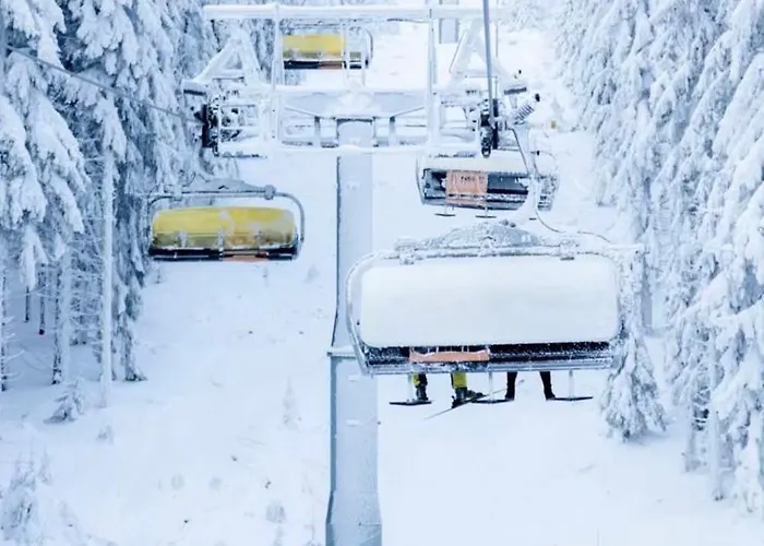 - White Pearl - Biala Perla - Czarna Gora Daire *