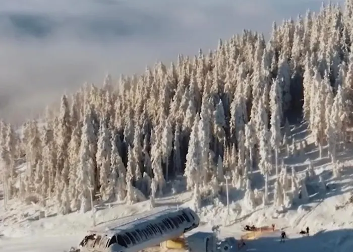 Daire - White Pearl - Biala Perla - Czarna Gora *